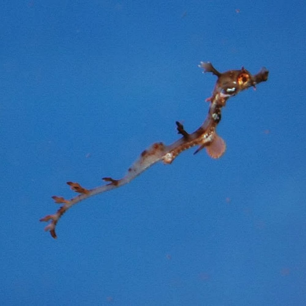 Meet your Posher, Valerie